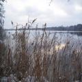 Winterblick aus Senzig (tn_100_4093.jpg) Zeesner See im Landkreis Dahme Spreewald